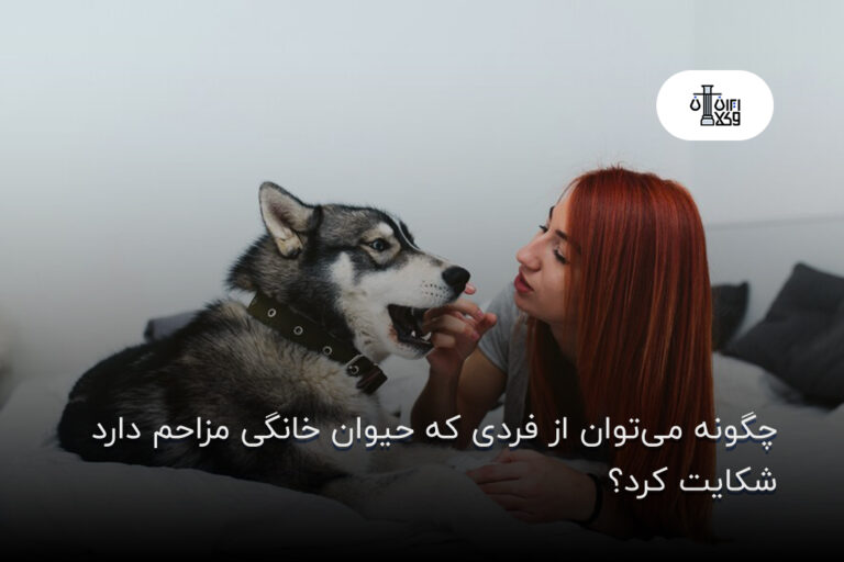 چگونه می‌توان از فردی که حیوان خانگی مزاحم دارد شکایت کرد؟